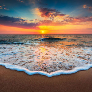 Meet your Posher, Tommy